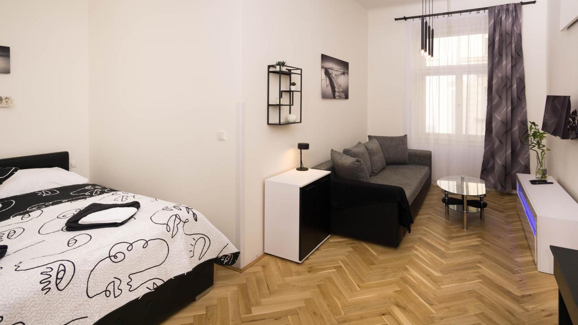 Black & White Apartment Prague By Wenceslas Square And Muzeum — Photos 2